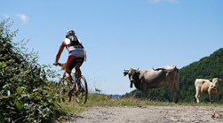 Centro BTT Salines Bassegoda